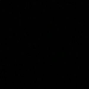 Meet your Posher, Sally